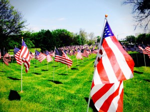 2015-05-19 12.45.42-1